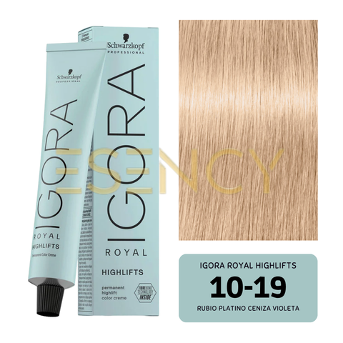 TINTE IGORA ROYAL HIGHLIFTS