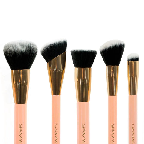 SET DE BROCHAS X10 SAMY
