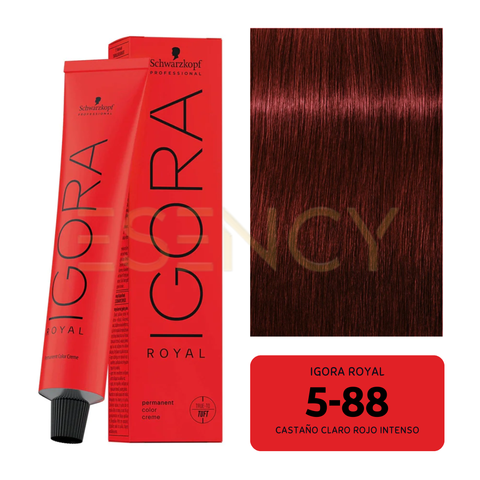 TINTE IGORA ROYAL COBRES, ROJOS Y VIOLETAS