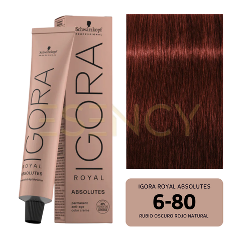 TINTE IGORA ROYAL COBRES, ROJOS Y VIOLETAS