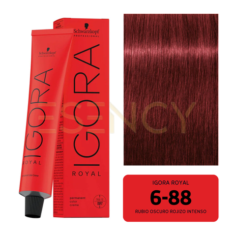 TINTE IGORA ROYAL COBRES, ROJOS Y VIOLETAS