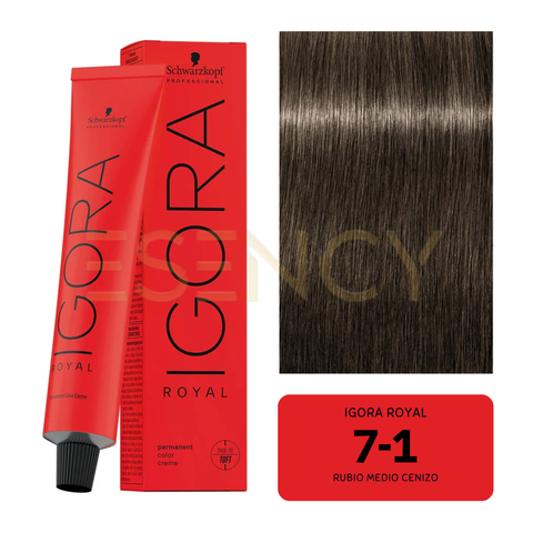 TINTE IGORA ROYAL CENIZOS/HUMOS