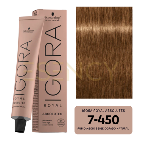TINT IGORA ROYAL BEIGE/AVELLANA