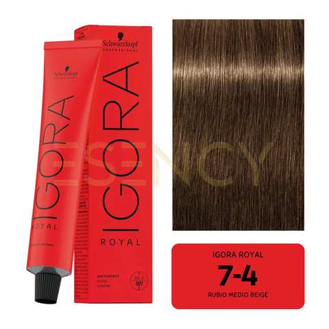 TINT IGORA ROYAL BEIGE/AVELLANA