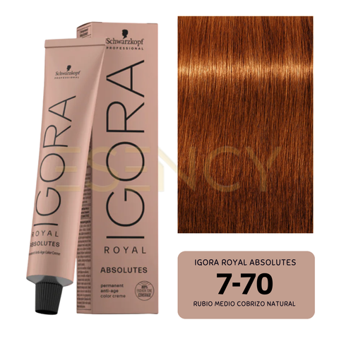 TINTE IGORA ROYAL COBRES, ROJOS Y VIOLETAS