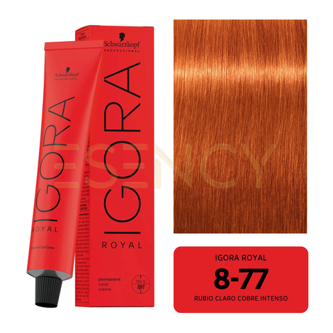 TINTE IGORA ROYAL COBRES, ROJOS Y VIOLETAS
