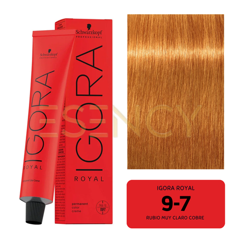 TINTE IGORA ROYAL COBRES, ROJOS Y VIOLETAS
