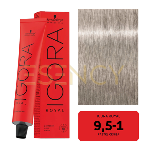 TINTE IGORA ROYAL CENIZOS/HUMOS