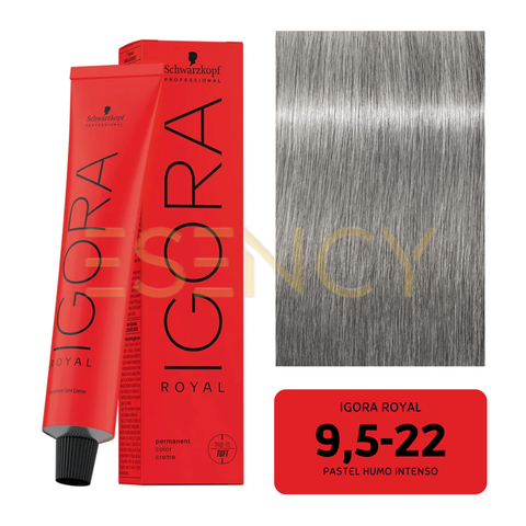 TINTE IGORA ROYAL CENIZOS/HUMOS